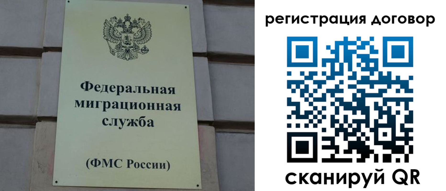 прописка в Вольске